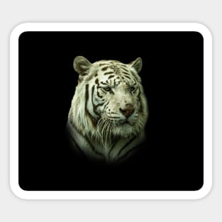 White tiger Sticker